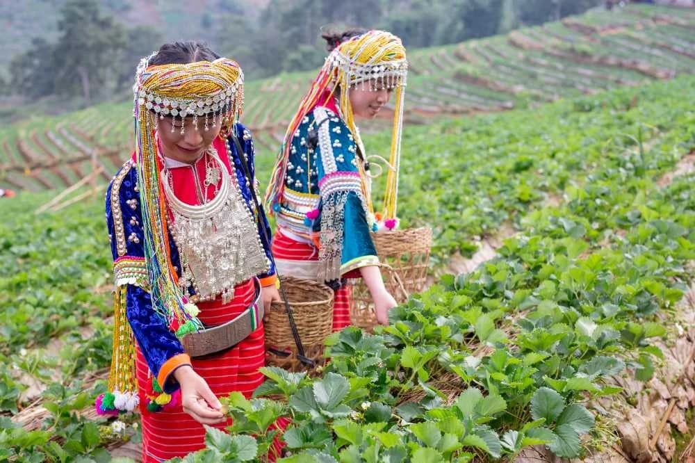 Manipur
