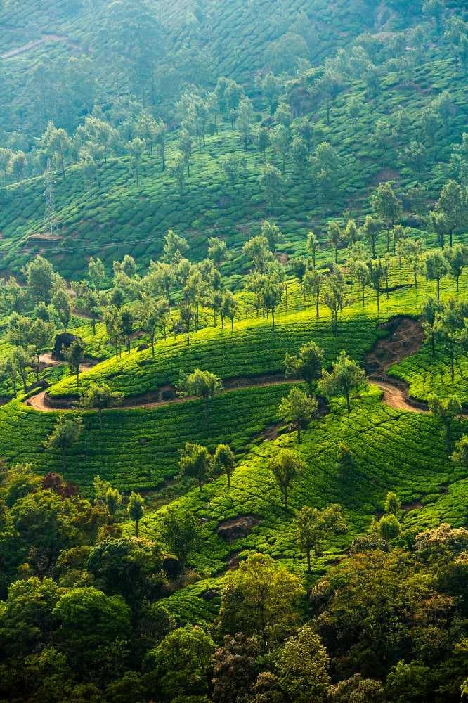Munnar