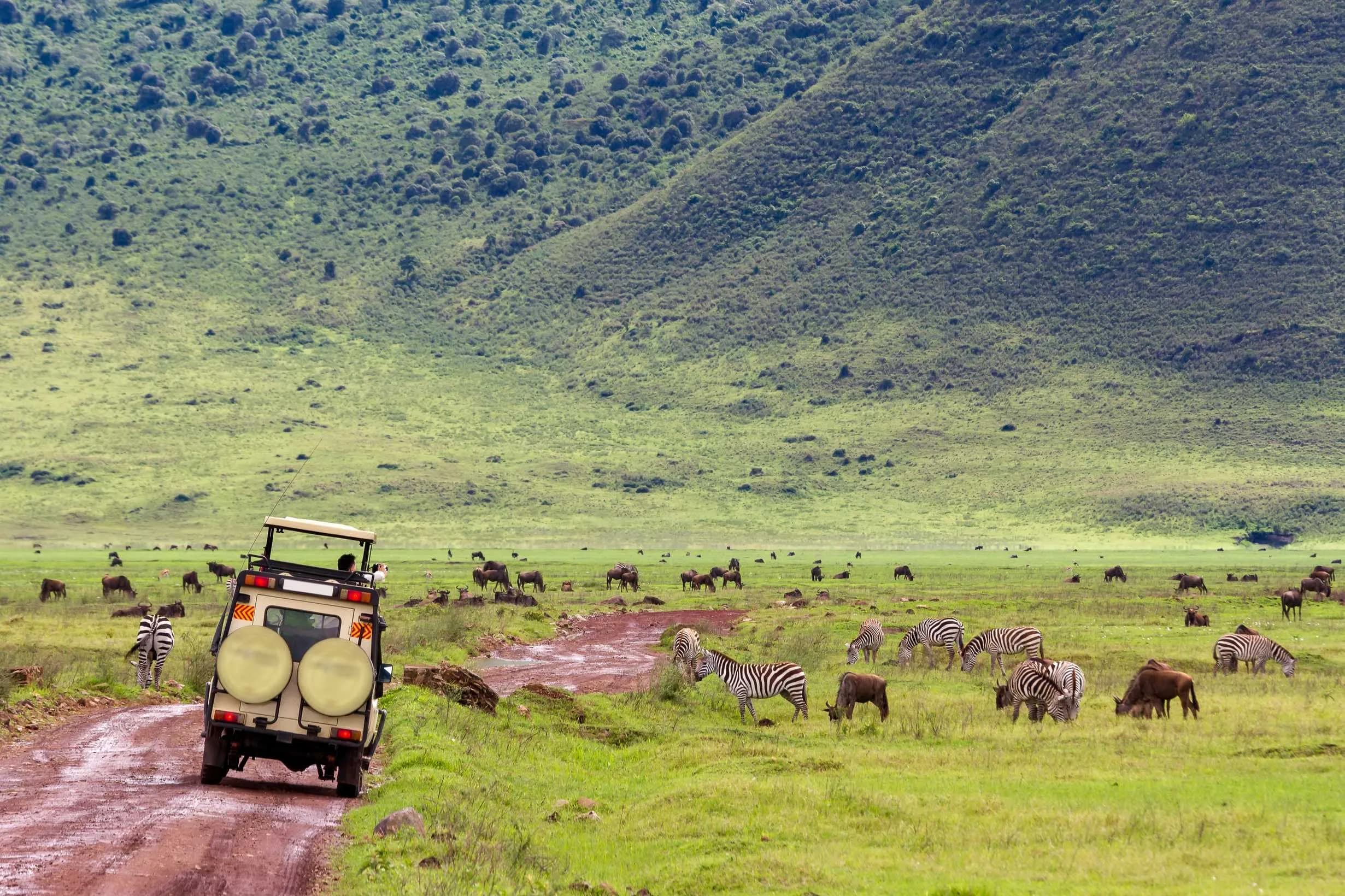 Tanzania 